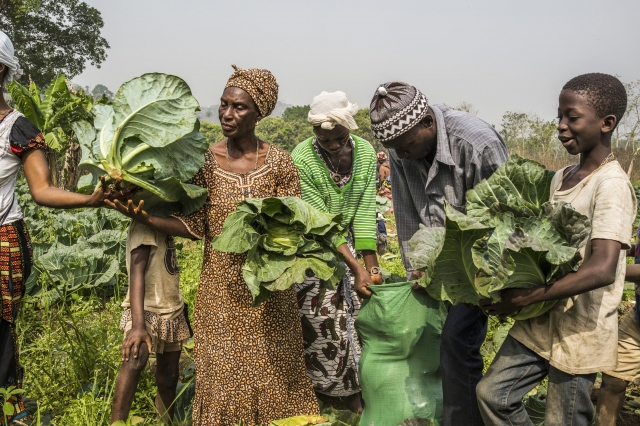 Poverty, Nutrition and Sustainable Agriculture